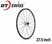 DT Swiss 27 1/2 Front Wheel