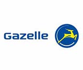 Gazelle Bicycle Parts