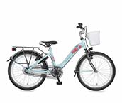 Girls Bicycle 22 Inch