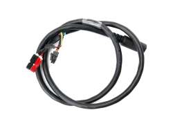 Tranzx Motor Cable 36V For 807 Eagle