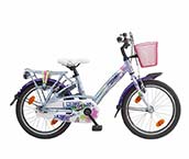 Girls Bicycle 18 Inch