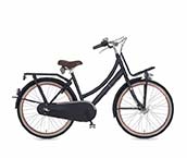 Girls Bicycle 24 Inch