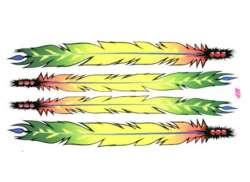 HBS Bicycle Sticker Feathers - Multi Color