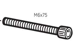 Thule Screw MC6S M6x75 50618 for RideOn 9502