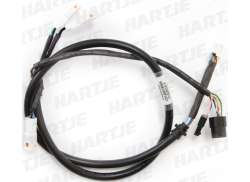 Tranzx Cable Set Display DP16 For M25 From 2014